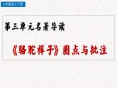 名著导读 《骆驼祥子》圈点与批注 （教学课件） 部编七年级下册语文
