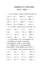 专题1 字音、字形（一）-中考语文基础知识+考点集训专题训练