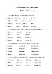 专题1 字音、字形（二）-中考语文基础知识+考点集训专题训练