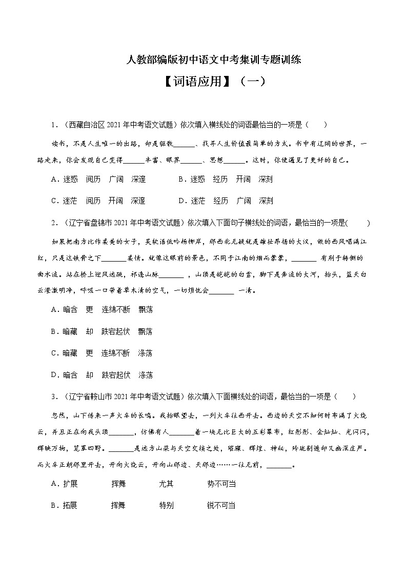 专题2 词语运用（一）-中考语文基础知识+考点集训专题训练（原卷版）第1页