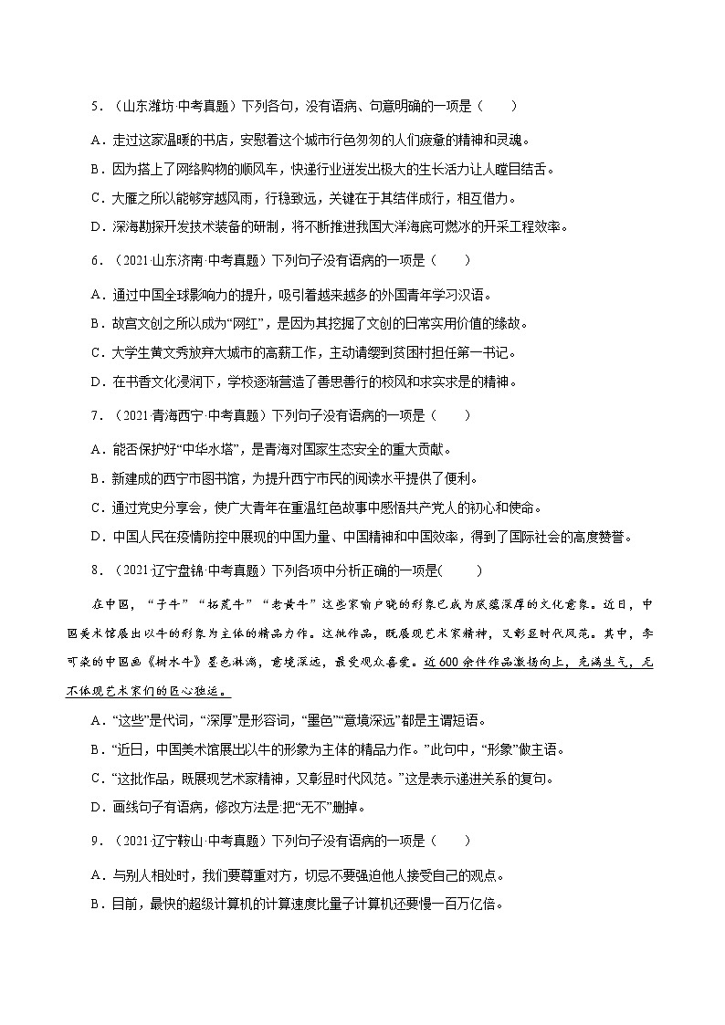 专题3 病句修改与辨析（一）-中考语文基础知识+考点集训专题训练02