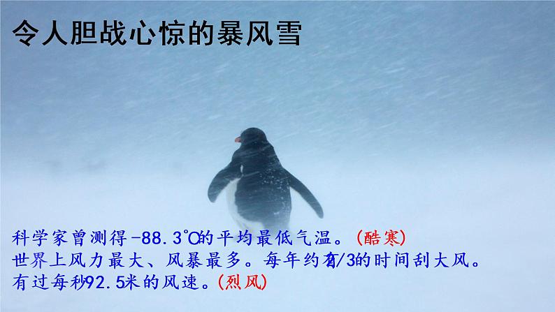 22 伟大的悲剧 （教学课件）部编七年级下册语文第5页