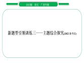 2023年广西中考语文新题型引领训练- 主题综合探究课件