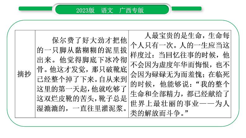 2023年广西中考语文新题型引领训练- 主题综合探究课件03