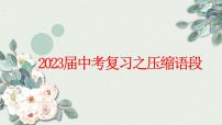 2023年中考语文二轮复习《压缩语段》课件