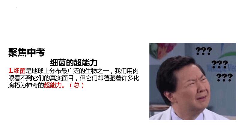 中考语文二轮专题复习：说明文阅读课件PPT04