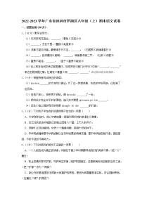 广东省深圳市罗湖区2022-2023学年八年级上学期期末语文试题（含答案）