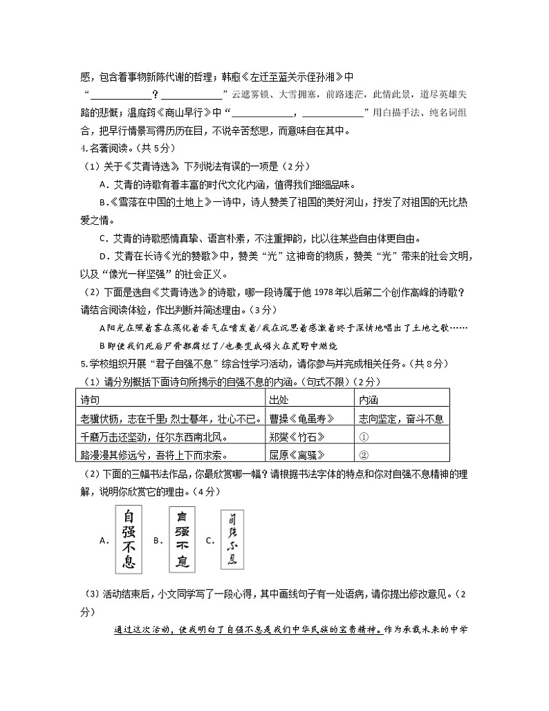 2022-2023学年福建省厦门市九年级上册期中语文专项提升模拟试题（含解析）第2页