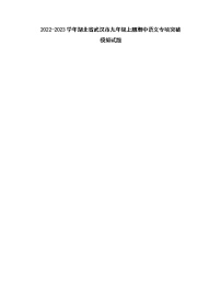 2022-2023学年湖北省武汉市九年级上册期中语文专项突破模拟试题（无答案）