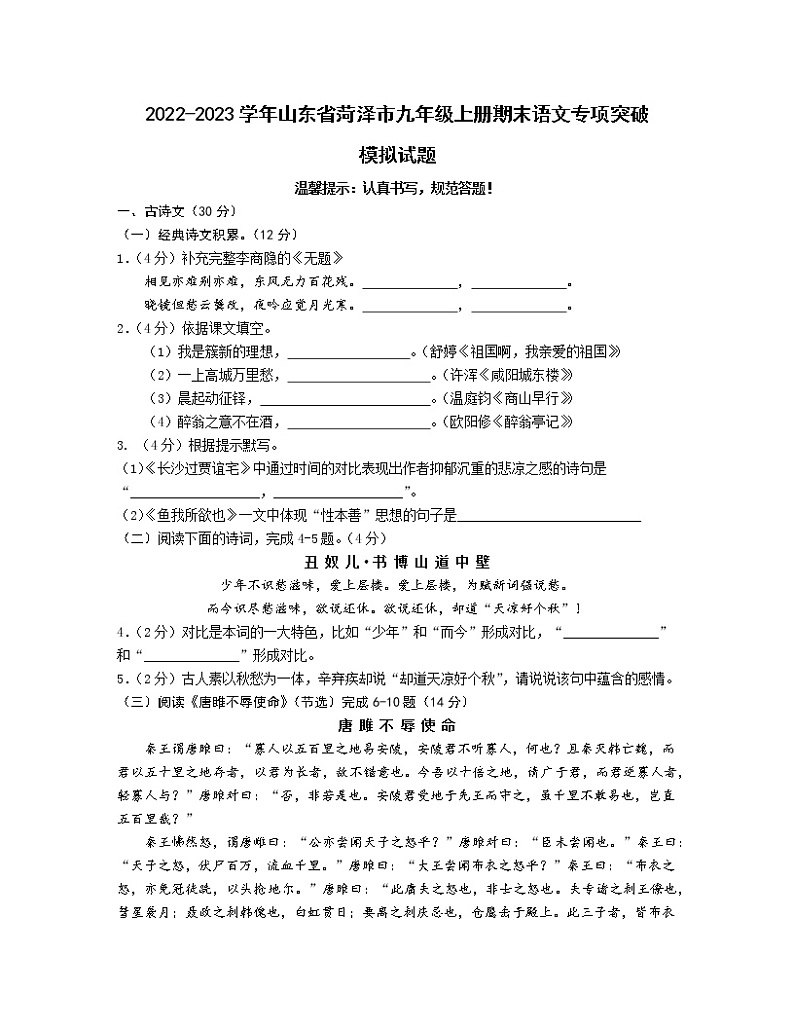 2022-2023学年山东省菏泽市九年级上册期末语文专项突破模拟试题（含解析）01