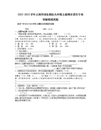 2022-2023学年上海市浦东新区九年级上册期末语文专项突破模拟试题（含解析）