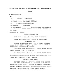 2022-2023学年上海市徐汇区九年级上册期末语文专项提升仿真模拟试题（含解析）