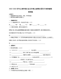2022-2023学年上海市徐汇区九年级上册期末语文专项突破模拟试题（含解析）