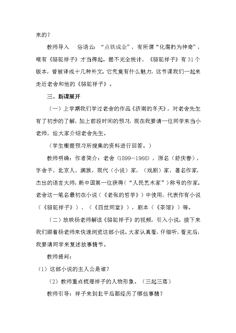 人教版（部编版）初中语文七年级下册 《骆驼祥子》：圈点与批注  教案第3页