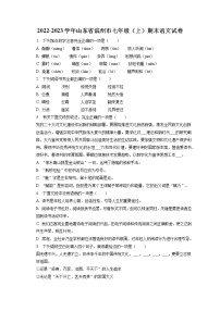 2022-2023学年山东省滨州市七年级（上）期末语文试卷(含答案解析)