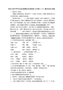 2022-2023学年山东省潍坊市高新区七年级（上）期末语文试卷(含答案解析)
