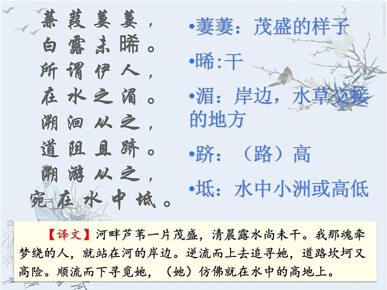 第12课《_诗经_二首：蒹葭》课件05