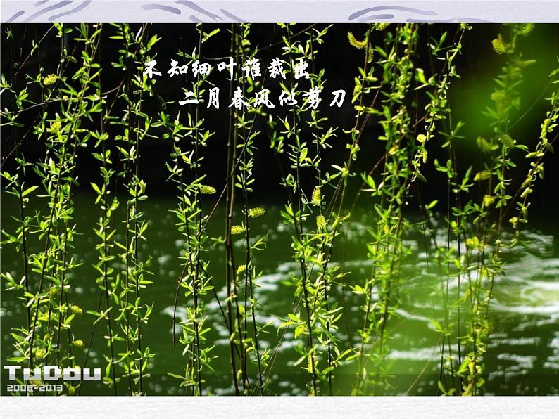 第5课《大自然的语言》课件第1页