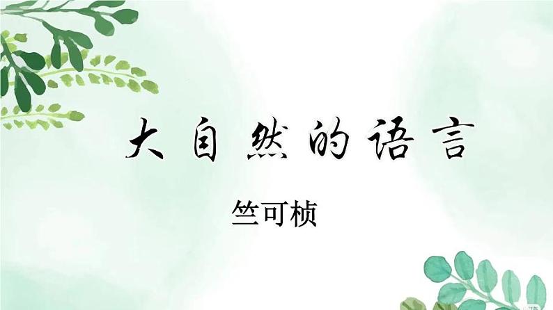第5课《大自然的语言》课件第1页