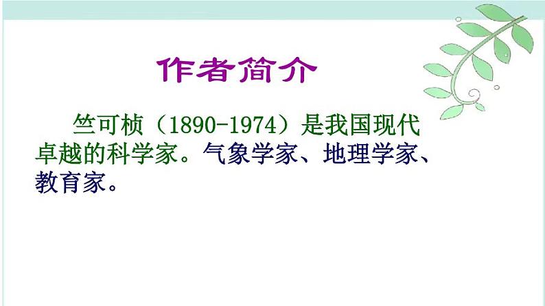 第5课《大自然的语言》课件第3页