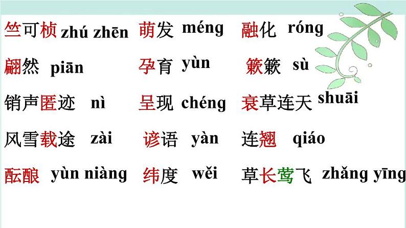 第5课《大自然的语言》课件第4页