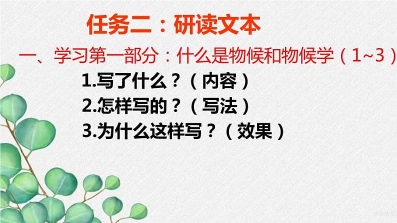 第5课《大自然的语言》课件第6页