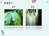 3 雨的四季课件PPT