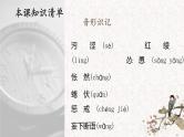 16《 猫》课件PPT