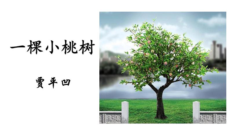 第19课 一棵小桃树课件第1页