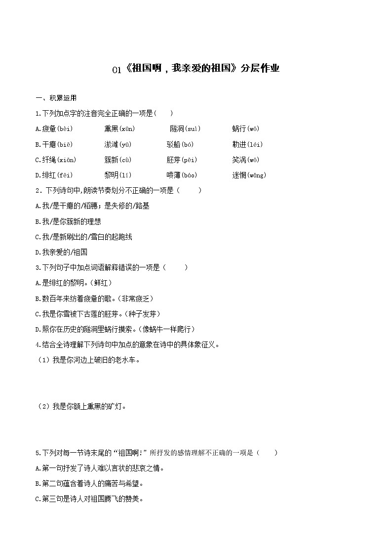 第1课《祖国啊，我亲爱的祖国》（分层作业）-九年级语文下册同步备课系列（部编版）01