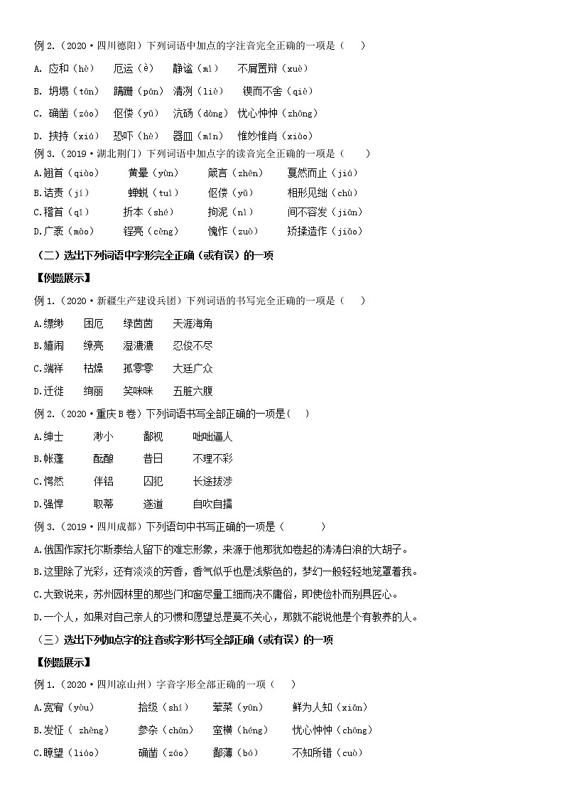 中考语文一轮复习专题01 字音字形 (含详解)第2页