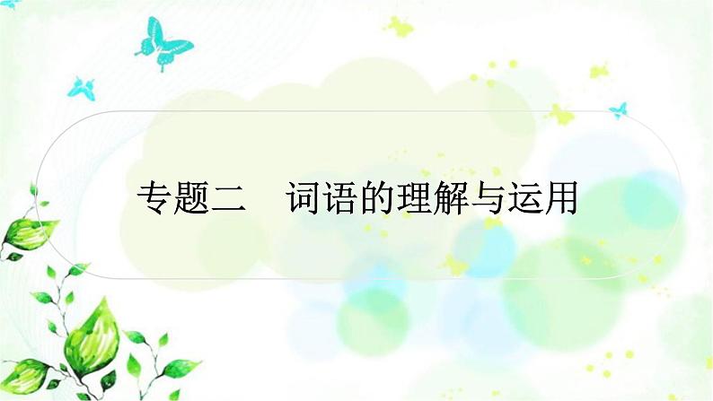 中考语文复习专题二词语的理解与运用作业课件01