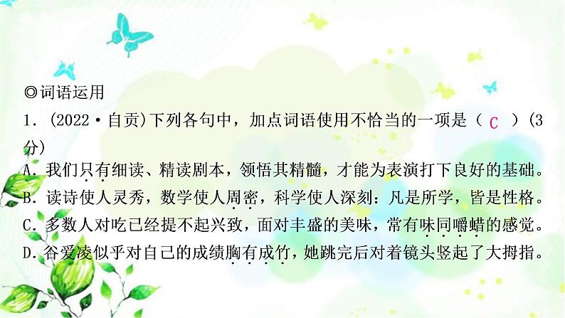 中考语文复习专题二词语的理解与运用作业课件02