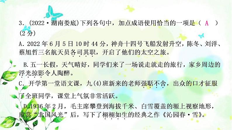 中考语文复习专题二词语的理解与运用作业课件06