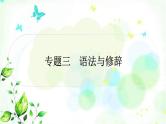 中考语文复习专题三语法与修辞作业课件