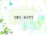 中考语文复习专题五标点符号作业课件