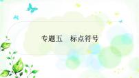 中考语文复习专题五标点符号作业课件