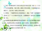 中考语文复习专题五标点符号作业课件