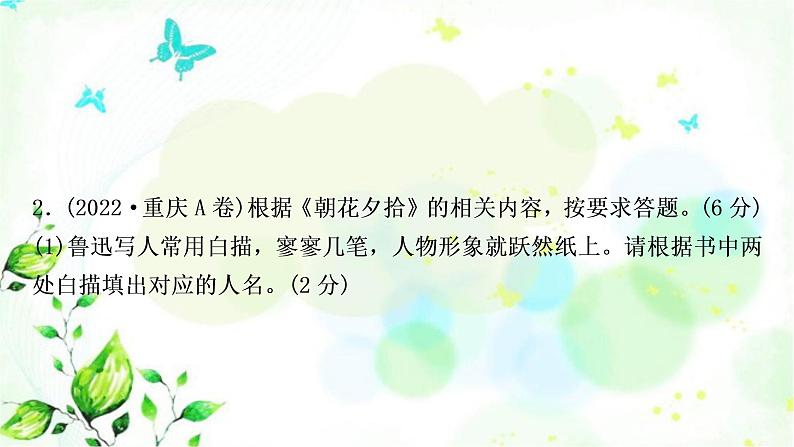 中考语文复习专题十六名著阅读作业课件第3页