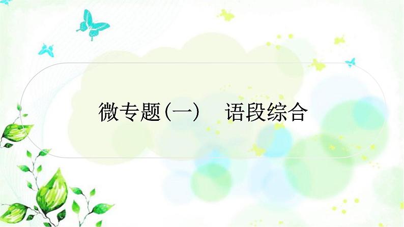 中考语文复习微专题语言知识运用（一）作业课件01