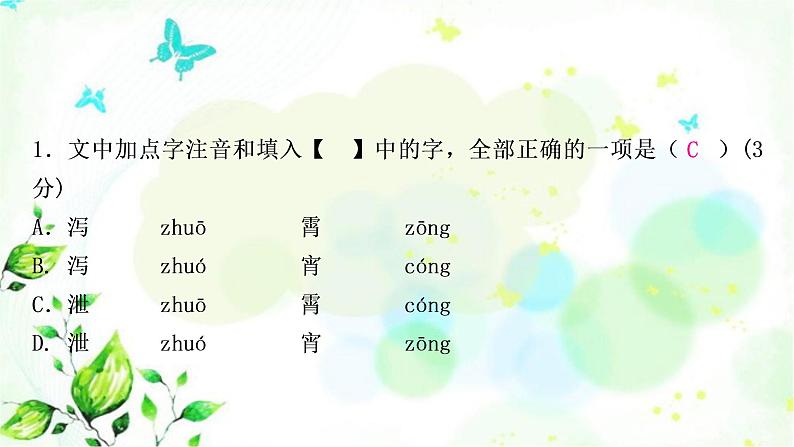 中考语文复习微专题语言知识运用（一）作业课件05