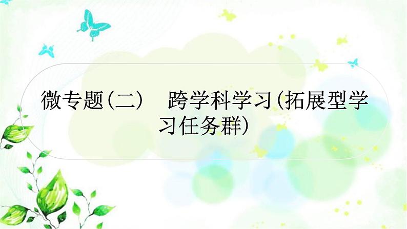 中考语文复习微专题语言知识运用（二）作业课件01