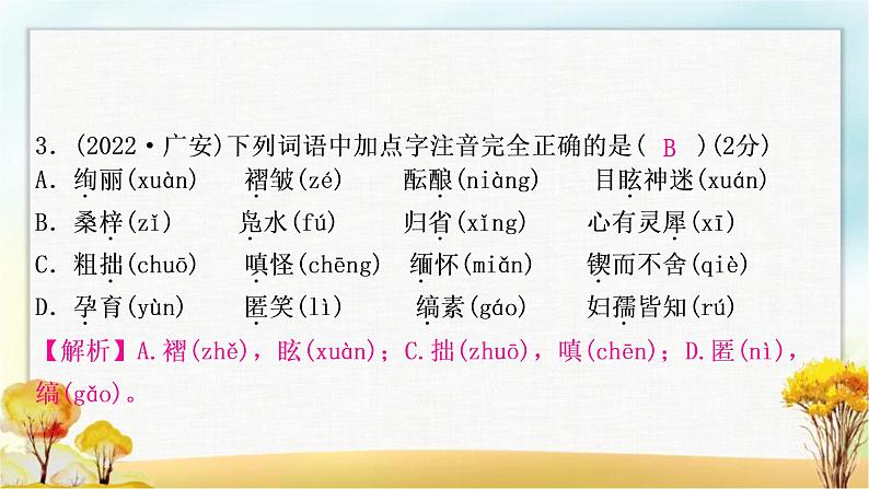 中考语文复习专题一字音字形教学课件第5页