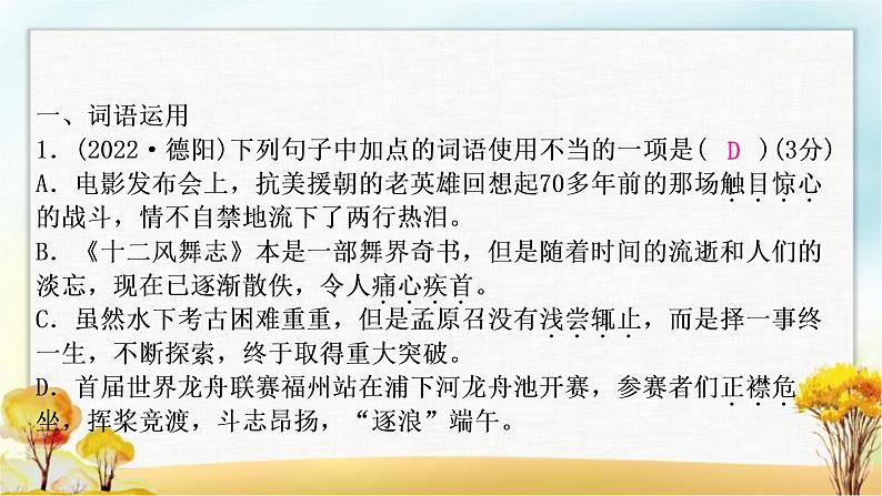 中考语文复习专题二词语的理解与运用教学课件第3页