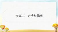 中考语文复习专题三语法与修辞教学课件
