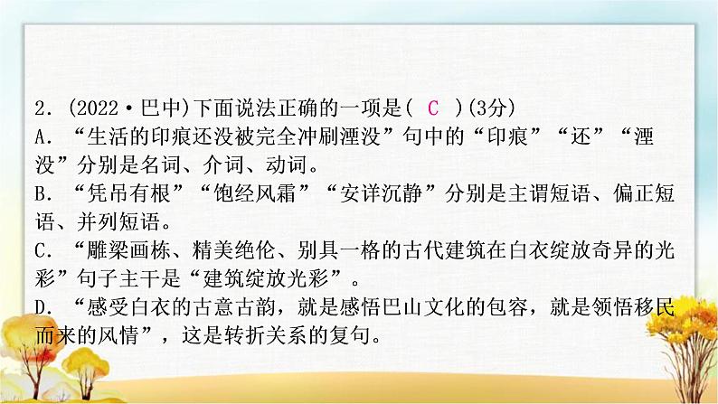 中考语文复习专题三语法与修辞教学课件第3页