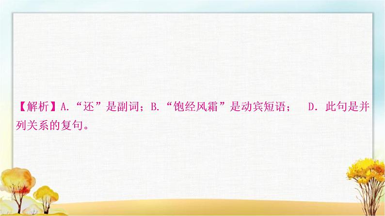 中考语文复习专题三语法与修辞教学课件第4页