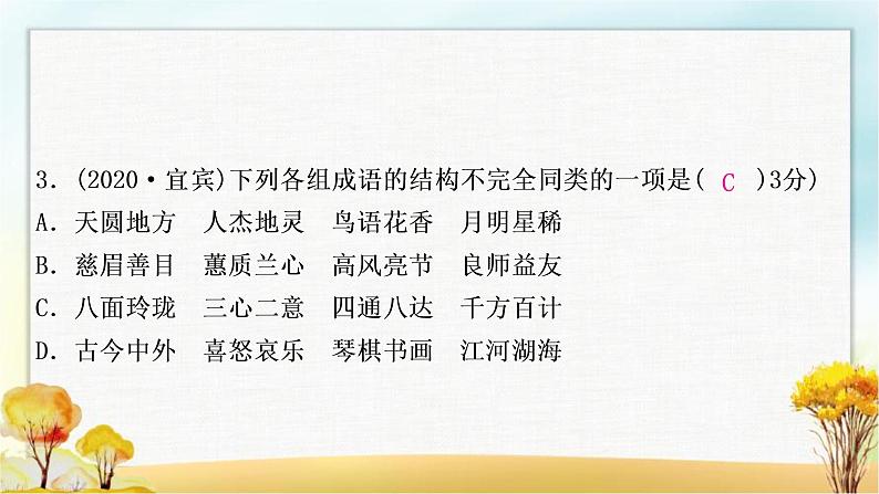 中考语文复习专题三语法与修辞教学课件第5页