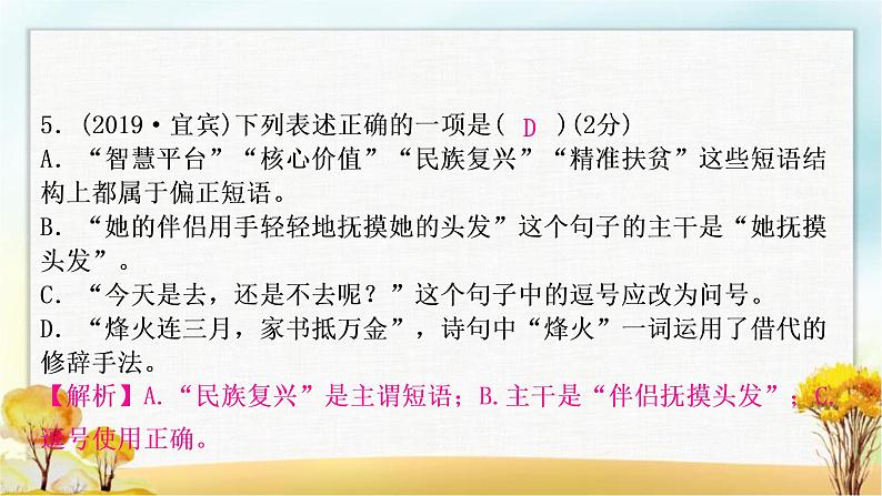 中考语文复习专题三语法与修辞教学课件第7页