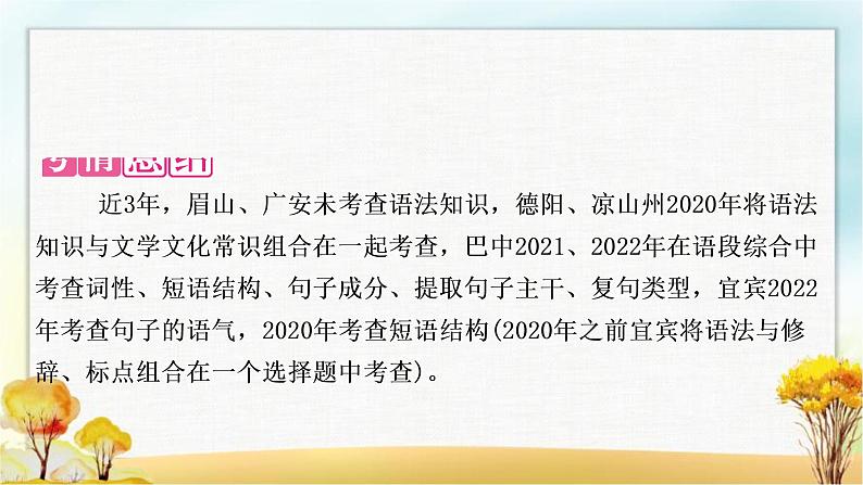 中考语文复习专题三语法与修辞教学课件第8页